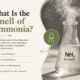What Is the Smell of Ammonia?